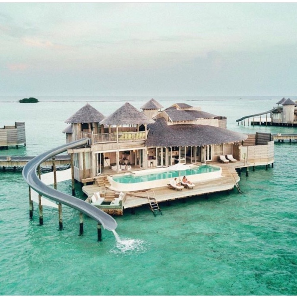 Meet your Posher, Alex